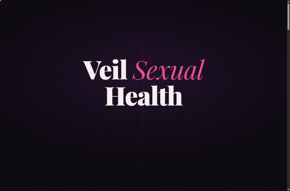 Veil concept website preview